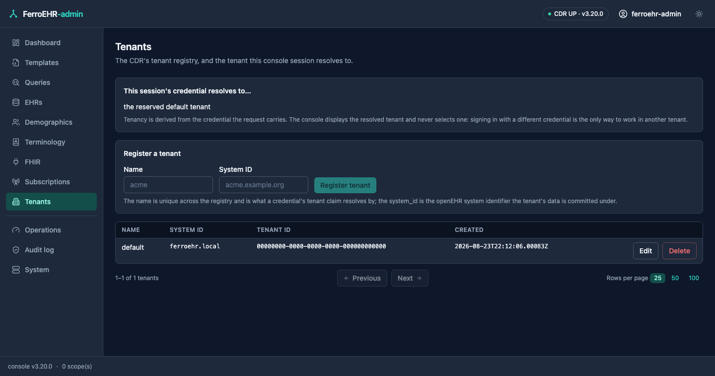 The tenant registry in dark mode: the registered tenants and the tenant this session resolves to
